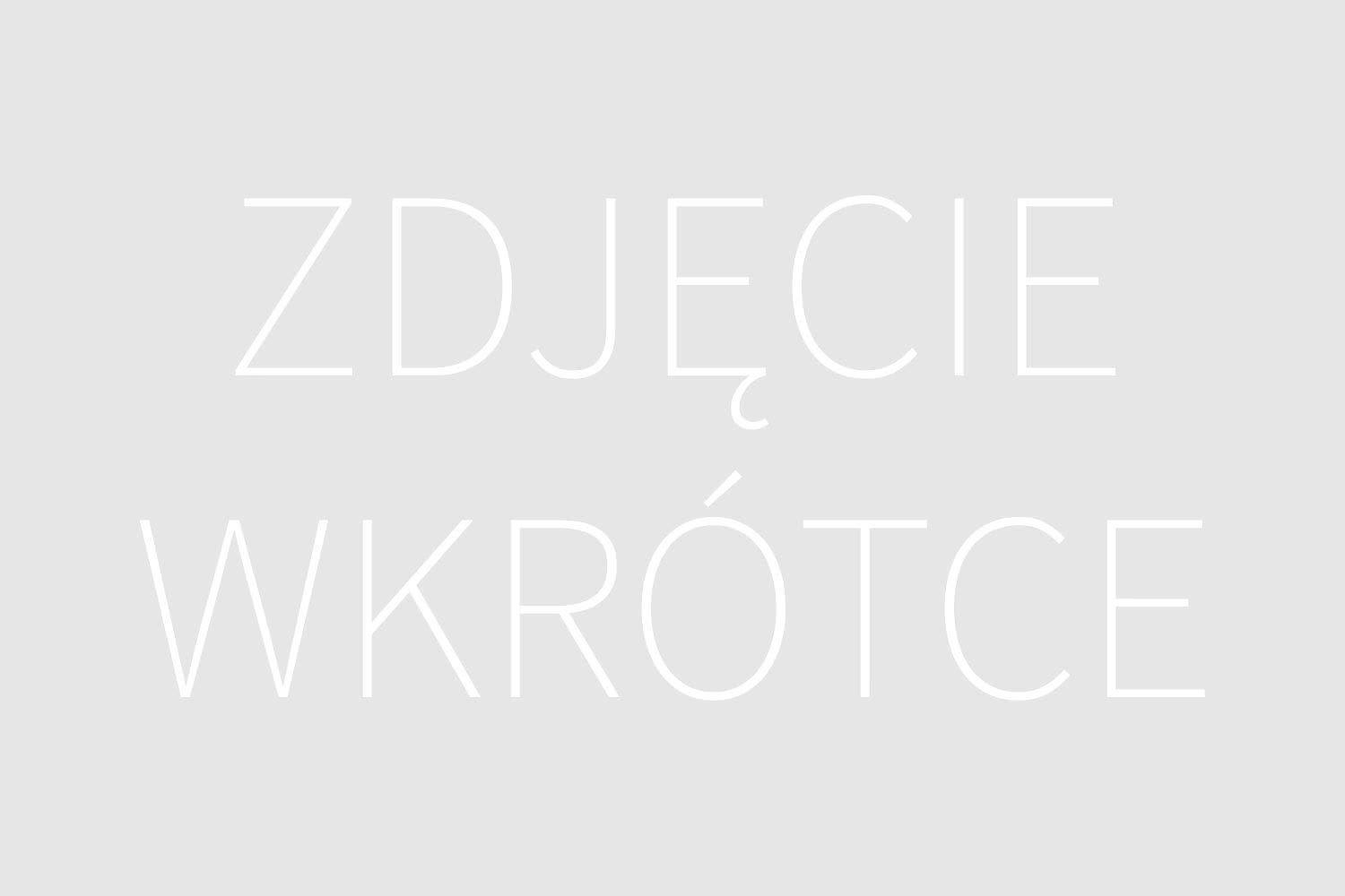 Ilustracja poglądowa do artykułu w kategorii Pomysły i Inspiracje - Dom i Ogród